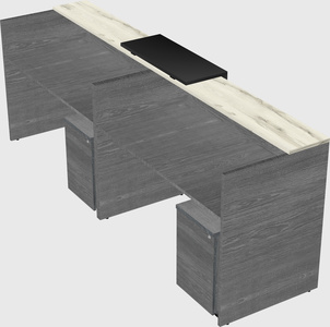 Shared u-shaped reception desks