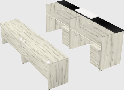 Shared u-shaped reception desks