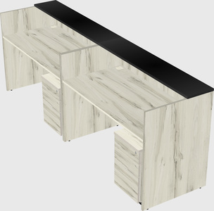 Shared u-shaped reception desks