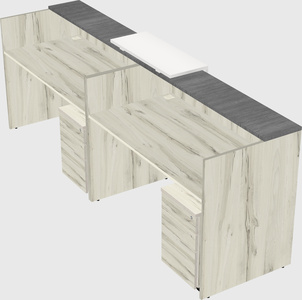 Shared u-shaped reception desks