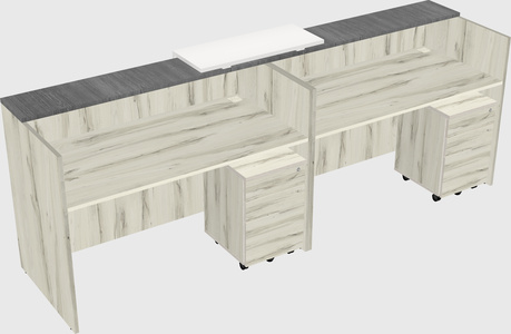 Shared u-shaped reception desks