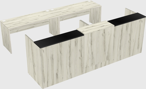 Shared u-shaped reception desks