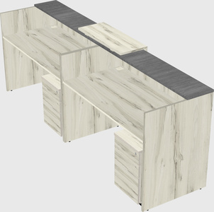 Shared u-shaped reception desks