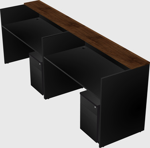 Shared u-shaped reception desks