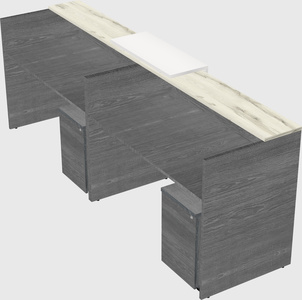 Shared u-shaped reception desks