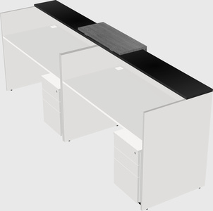 Shared u-shaped reception desks
