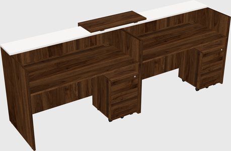 Shared u-shaped reception desks