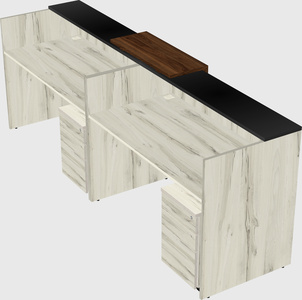 Shared u-shaped reception desks