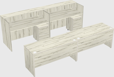 Shared u-shaped reception desks