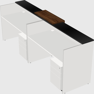 Shared u-shaped reception desks