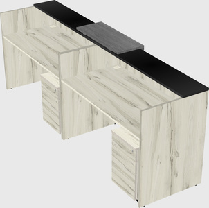 Shared u-shaped reception desks