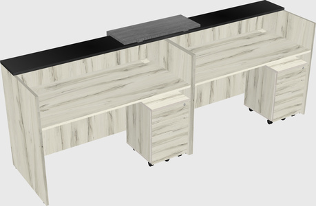 Shared u-shaped reception desks