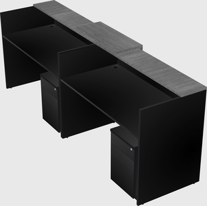 Shared u-shaped reception desks