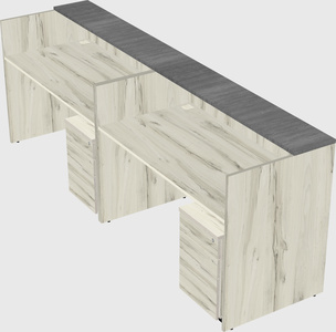 Shared u-shaped reception desks