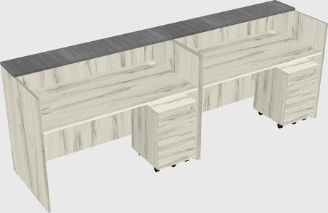 Shared u-shaped reception desks