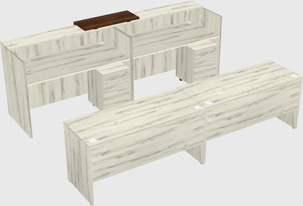 Shared u-shaped reception desks