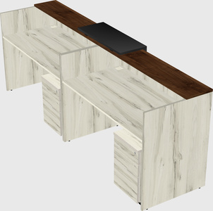Shared u-shaped reception desks