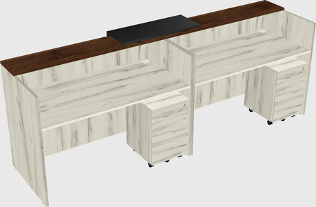 Shared u-shaped reception desks