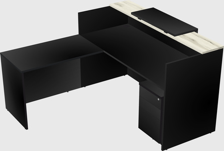 L-shaped modular reception