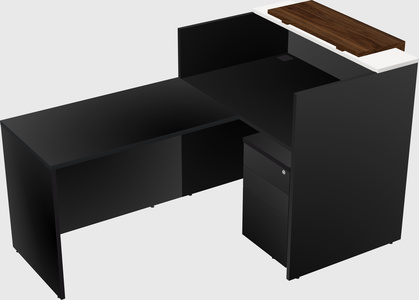 L-shaped modular reception