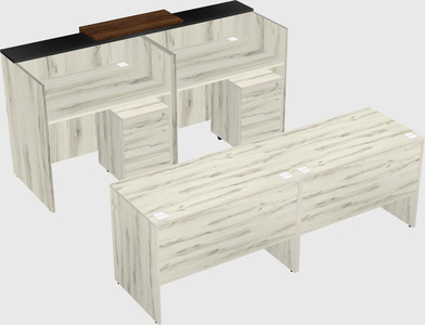 Shared u-shaped reception desks