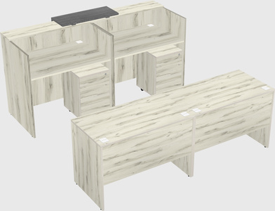 Shared u-shaped reception desks