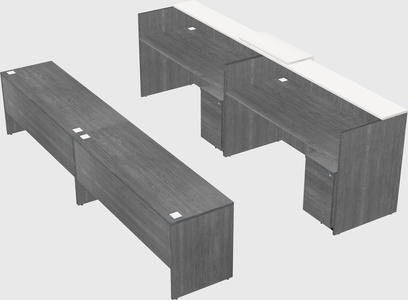 Shared u-shaped reception desks