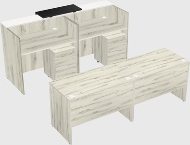 Shared u-shaped reception desks