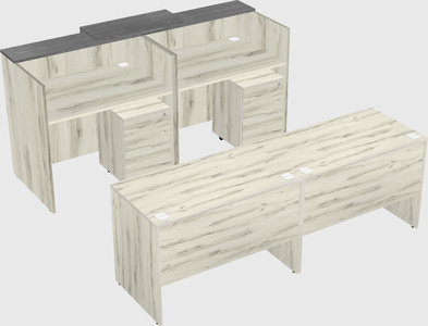 Shared u-shaped reception desks