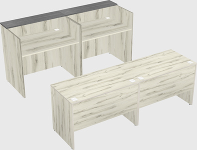 Shared u-shaped reception desks