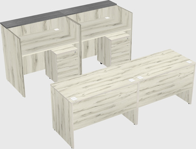 Shared u-shaped reception desks