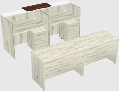 Shared u-shaped reception desks