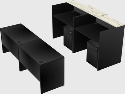 Shared u-shaped reception desks