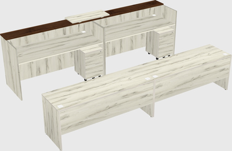 Shared u-shaped reception desks