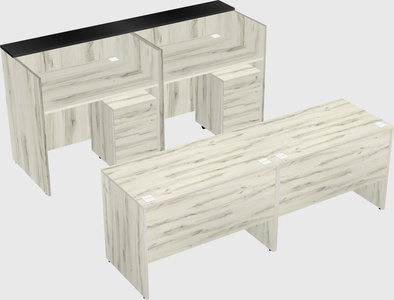 Shared u-shaped reception desks