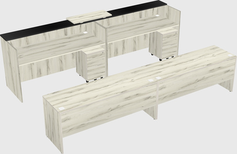Shared u-shaped reception desks