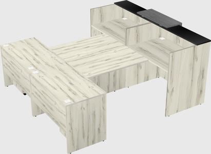 Shared u-shaped reception desks