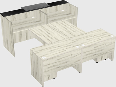 Shared u-shaped reception desks