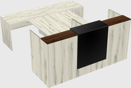 Shared u-shaped reception desks