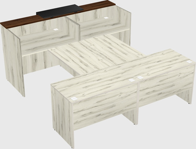 Shared u-shaped reception desks