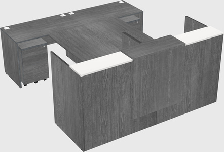 Shared u-shaped reception desks