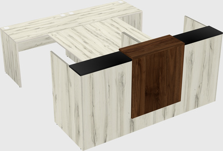 Shared u-shaped reception desks