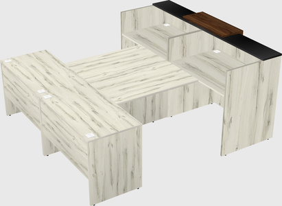 Shared u-shaped reception desks