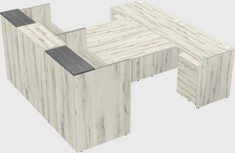 Shared u-shaped reception desks