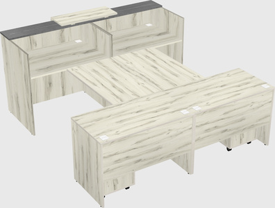 Shared u-shaped reception desks