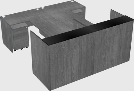 Shared u-shaped reception desks