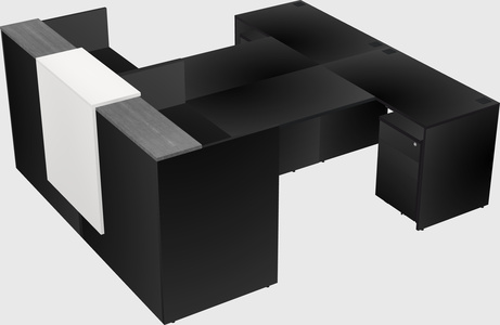 Shared u-shaped reception desks
