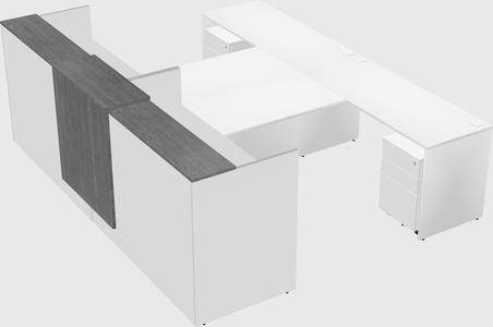 Shared u-shaped reception desks