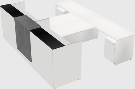 Shared u-shaped reception desks