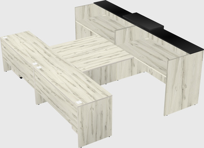 Shared u-shaped reception desks